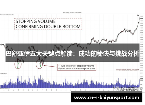 巴舒亚伊五大关键点解读：成功的秘诀与挑战分析