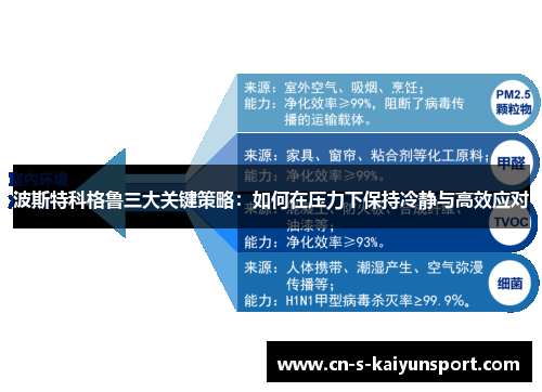 波斯特科格鲁三大关键策略:如何在压力下保持冷静与高效应对 波斯特科格鲁三大关键策略:如何在压力下保持冷静与高效应对